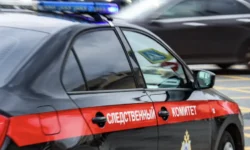 aleksandr bastrykin vzyal na kontrol delo ob izbienii devochki podrostkami v anape-fabrec-ru-0