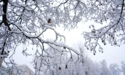Центр «Метео» прогнозирует первый снег в Москве и Подмосковье czentr meteo prognoziruet pervyj sneg v moskve i podmoskove-fabrec-ru-0