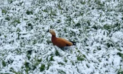 Циклоны изменят погоду в Приморье в воскресенье по данным Примгидромета cziklony izmenyat pogodu v primore v voskresene po dannym primgidrometa-fabrec-ru-0