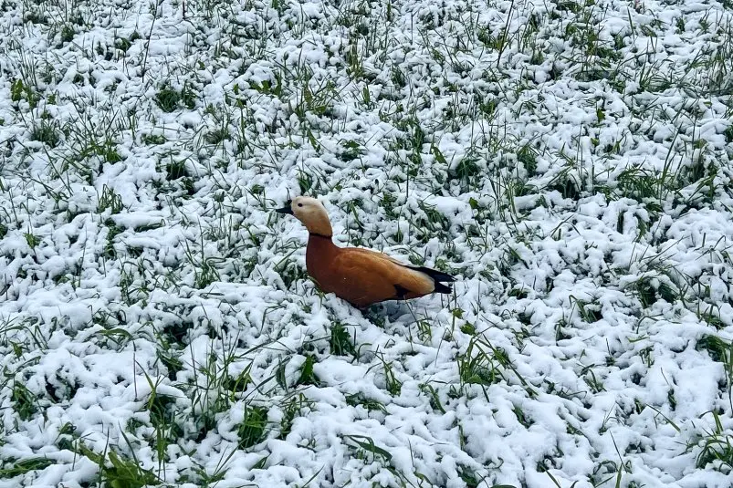 Фото: primamedia.ru