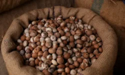 Екатерина Кашух сообщила о повышенном риске рака языка от ареколина ekaterina kashuh soobshhila o povyshennom riske raka yazyka ot arekolina-fabrec-ru-0