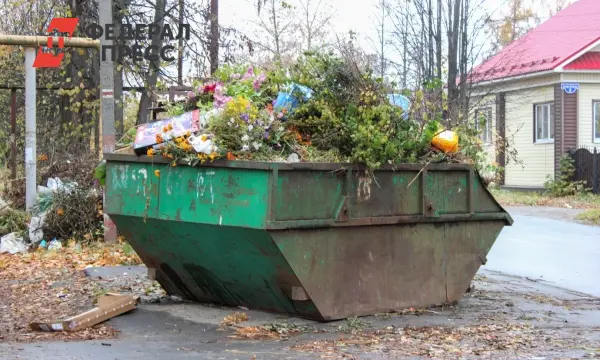 Госжилинспекция Рязани работает над чистотой дворов и санитарными нормами-0