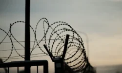 Готовность забора Финляндии оценят 9 декабря после завершения строительства границы в Лапландии gotovnost zabora finlyandii oczenyat 9 dekabrya posle zaversheniya stroitelstva graniczy v laplandii-fabrec-ru-0