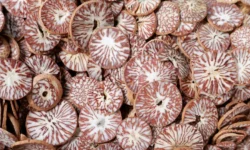 Инициатива Султана Хамзаева и Яны Лантратовой о запрете бетельного ореха в Wildberries и Ozon inicziativa sultana hamzaeva i yany lantratovoj o zaprete betelnogo oreha v i -fabrec-ru-0