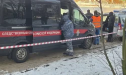 Мать мальчика из Гольяновского пруда находилась под наблюдением врачей mat malchika iz golyanovskogo pruda nahodilas pod nablyudeniem vrachej-fabrec-ru-0