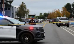 Мэри Элис Мэлони и DNA Doe Project раскрывают тайну Джейн Доу спустя 18 лет meri elis meloni i raskryvayut tajnu dzhejn dou spustya 18 let-fabrec-ru-0