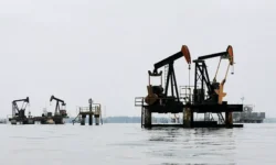 Россия и Саудовская Аравия поддерживают позитивные решения ОПЕК+ о росте добычи нефти rossiya i saudovskaya araviya podderzhivayut pozitivnye resheniya opek o roste dobychi nefti-fabrec-ru-0