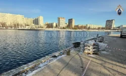 Следственный комитет проводит расследование инцидента в Гольяновском пруду с Всеволодом Ситниковым sledstvennyj komitet provodit rassledovanie inczidenta v golyanovskom prudu s vsevolodom sitnikovym-fabrec-ru-0