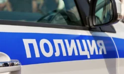 v boksitogorskom rajone zaderzhan svyaznoj kibermoshennikov-fabrec-ru-0