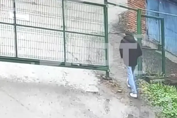 Вводная картинка