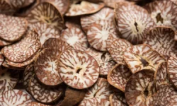 Виталий Холдин рассказал о рисках бетельного ореха для Роспотребнадзора vitalij holdin rasskazal o riskah betelnogo oreha dlya rospotrebnadzora-fabrec-ru-0