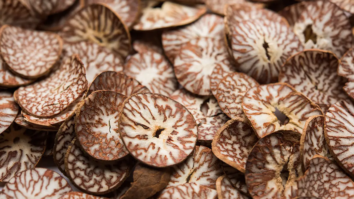 Нарколог Холдин рассказал о вреде бетельного ореха