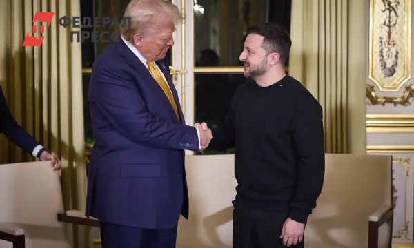 Владимир Зеленский и Дональд Трамп обсуждают жесткие переговоры и мир-0