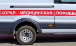 Вячеслав Гладков и Александр Богомаз сообщили о жертвах атак ВСУ на мирных жителей vyacheslav gladkov i aleksandr bogomaz soobshhili o zhertvah atak vsu na mirnyh zhitelej-fabrec-ru-0