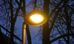 15 декабря отмечается День чая и Ночь валяния под лавкой 15 dekabrya otmechaetsya den chaya i noch valyaniya pod lavkoj-fabrec-ru-0