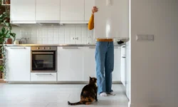 andrej kondrahin daet sovety o pitanii vo vremya magnitnyh bur-fabrec-ru-0