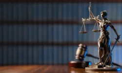 Анна Кленикова рассказала о правах недостойных наследников и алиментах anna klenikova rasskazala o pravah nedostojnyh naslednikov i alimentah-fabrec-ru-0