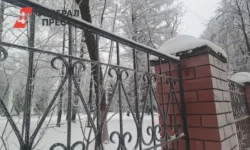 Борис Кубай и Примгидромет раскрыли, когда ждать потепления в Приморском крае boris kubaj i primgidromet raskryli kogda zhdat potepleniya v primorskom krae-fabrec-ru-0