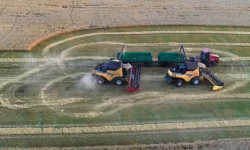 chelyabinskaya oblast bet rekordy po sboru zerna v uralskom federalnom okruge-fabrec-ru-0