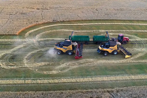 Вводная картинка