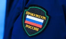 Дело экс-чиновницы и мошенничества с земельными участками рассмотрит суд delo ekschinovniczy i moshennichestva s zemelnymi uchastkami rassmotrit sud-fabrec-ru-0