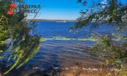 Дмитрий Патрушев поддержал развитие очистных сооружений в Марий Эл и Йошкар-Оле dmitrij patrushev podderzhal razvitie ochistnyh sooruzhenij v marij el i joshkarole-fabrec-ru-0