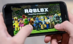 Екатерина Мизулина из Лиги безопасного интернета обсуждает блокировку Roblox с Роскомнадзором ekaterina mizulina iz ligi bezopasnogo interneta obsuzhdaet blokirovku s roskomnadzorom-fabrec-ru-0