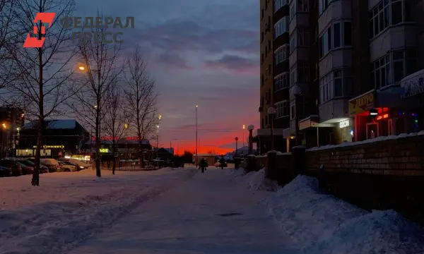 Инициатива Владимира Солодова о городских поездках в Петропавловске-Камчатском-0