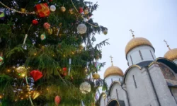 Кремлевская елка традиционно попала в десятку самых высоких деревьев мира kremlevskaya elka tradiczionno popala v desyatku samyh vysokih derevev mira-fabrec-ru-0