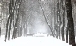 Москва и Подмосковье столкнулись с рекордным снегопадом, МЧС заботится о безопасности moskva i podmoskove stolknulis s rekordnym snegopadom mchs zabotitsya o bezopasnosti-fabrec-ru-0