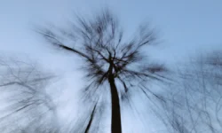 Новые свидетельства местных жителей о пропавшей семье Усольцевых и Корчагиных novye svidetelstva mestnyh zhitelej o propavshej seme usolczevyh i korchaginyh-fabrec-ru-0