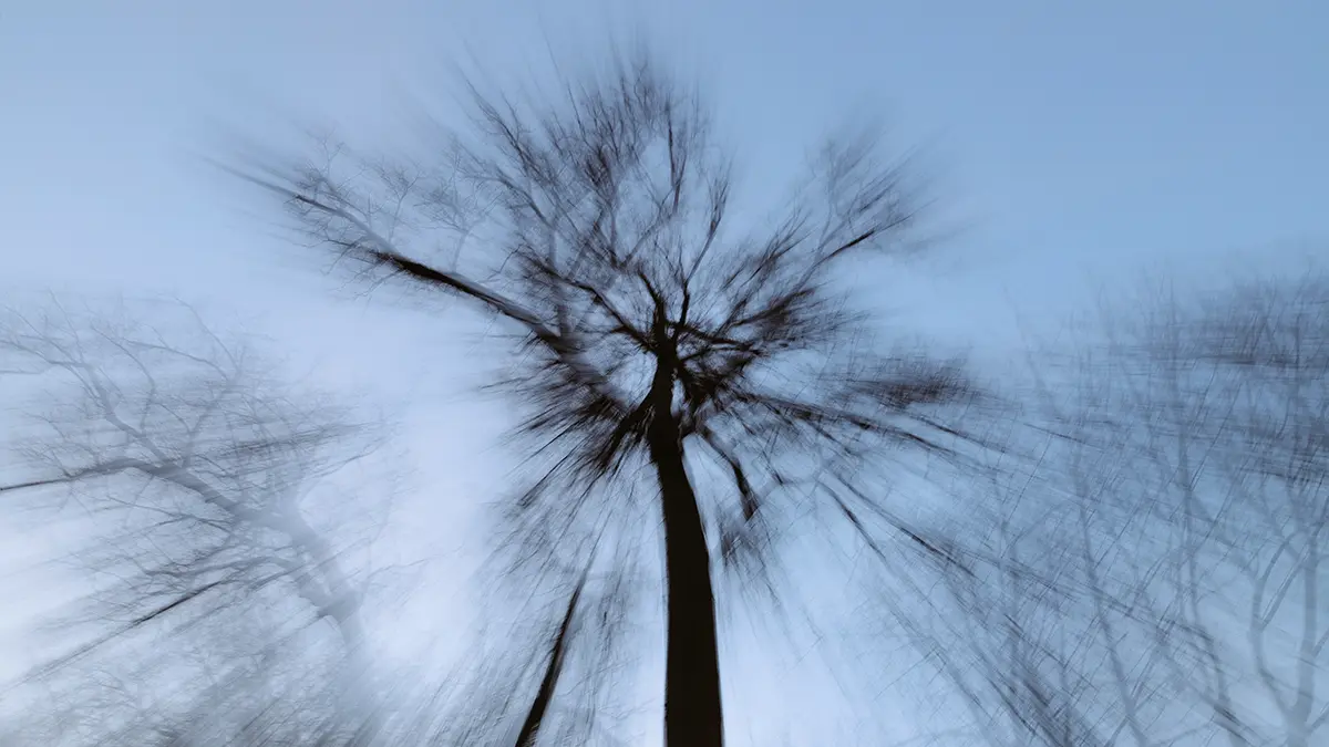 «Звенят в ушах»: местные жители слышали крики в месте исчезновения Усольцевых