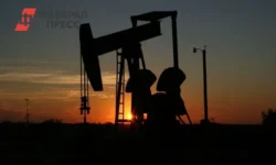 ОПЕК+, Саудовская Аравия и Россия подтвердили стабильные нефтяные квоты на 2026 год opek saudovskaya araviya i rossiya podtverdili stabilnye neftyanye kvoty na 2026 god-fabrec-ru-0