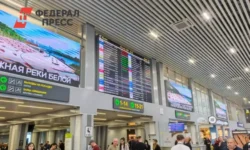 ПВО сбивает беспилотники в Шереметьево, Собянин контролирует город pvo sbivaet bespilotniki v sheremetevo sobyanin kontroliruet gorod-fabrec-ru-0