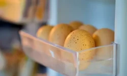 Сахар Берджис представила 10 продуктов, способствующих похудению во сне sahar berdzhis predstavila 10 produktov sposobstvuyushhih pohudeniyu vo sne-fabrec-ru-0