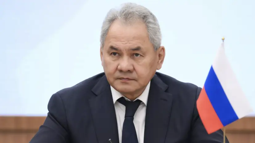 Шойгу: «цветные революции» происходят после появления финансируемых Западом НПО