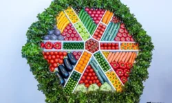 Специалисты РОСДНП и ДВФУ представляют взгляд на дальневосточный рацион speczialisty rosdnp i dvfu predstavlyayut vzglyad na dalnevostochnyj raczion-fabrec-ru-0