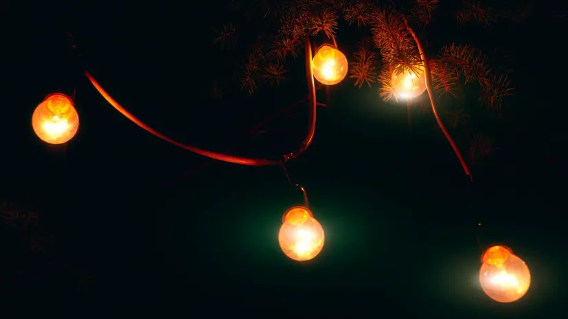 Физик Бахвалова назвала самыми опасными гирлянды с лампами накаливания