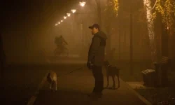 Татьяна Позднякова из Метеобюро сообщила о туманах в Москве до выходных tatyana pozdnyakova iz meteobyuro soobshhila o tumanah v moskve do vyhodnyh-fabrec-ru-0