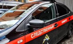 В Ленинградской области обнаружили пострадавших от двуокиси углерода в гараже v leningradskoj oblasti obnaruzhili postradavshih ot dvuokisi ugleroda v garazhe-fabrec-ru-0