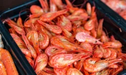 В Приморье капитана судна привлекли за незаконный лов креветки v primore kapitana sudna privlekli za nezakonnyj lov krevetki-fabrec-ru-0