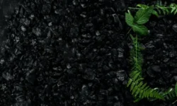 Биоуголь МГУ повышает устойчивость городских почв к перегреву biougol mgu povyshaet ustojchivost gorodskih pochv k peregrevu-fabrec-ru-0