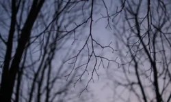 Детали дела и поддержка семьи: СК ищет Усольцевых в Красноярском крае detali dela i podderzhka semi sk ishhet usolczevyh v krasnoyarskom krae-fabrec-ru-0