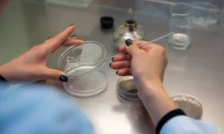 ДВФУ, ТГМУ и МГУ объединились для научного прорыва в Приоритете-2030 dvfu tgmu i mgu obedinilis dlya nauchnogo proryva v prioritete2030-fabrec-ru-0