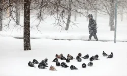 Кабинет министров Украины вводит экстренные меры в образовании kabinet ministrov ukrainy vvodit ekstrennye mery v obrazovanii-fabrec-ru-0