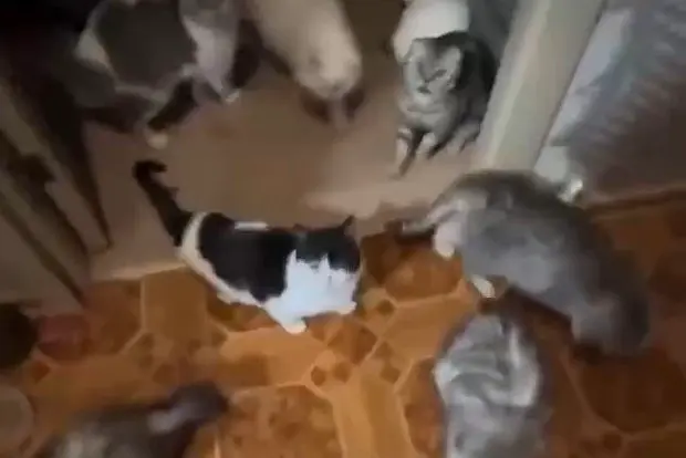 Вводная картинка