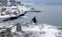 Питер Борг призвал жителей Гренландии. Ответил Дональд Трамп piter borg prizval zhitelej grenlandii otvetil donald tramp-fabrec-ru-0