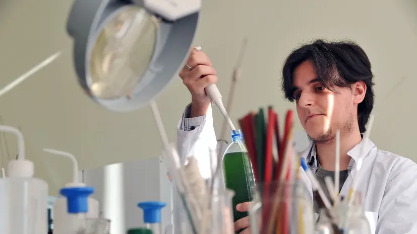 В Думе предложили сделать бесплатным образование в вузах по ряду специальностей