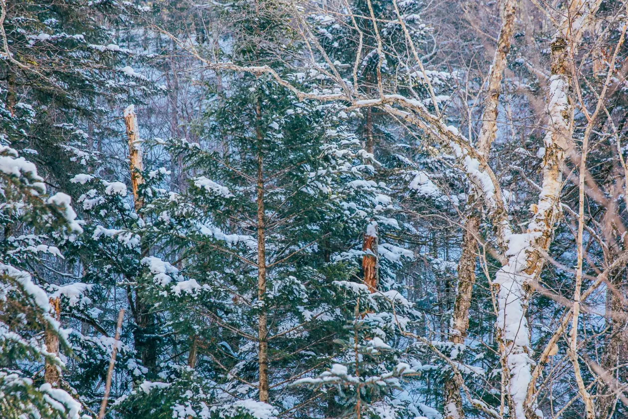 Фото: primamedia.ru