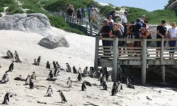 OneTwoTrip заметил рост интереса россиян к отдыху в Египте, Кении zametil rost interesa rossiyan k otdyhu v egipte kenii-fabrec-ru-0